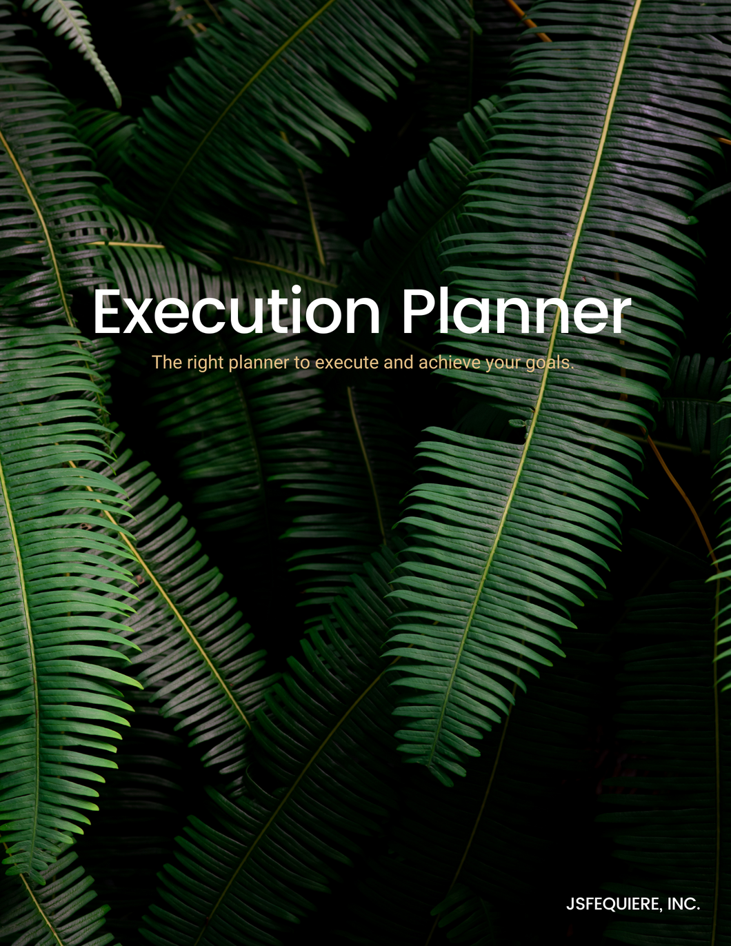 The Execution Planner